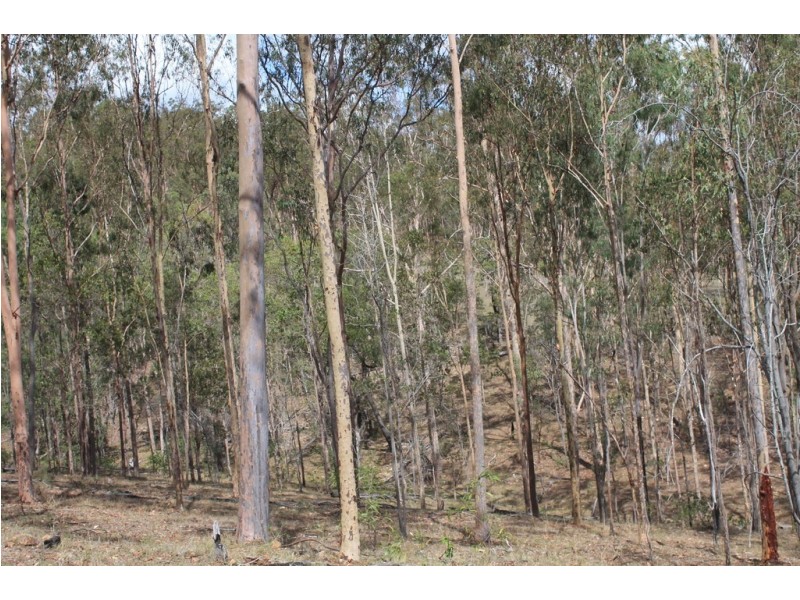 931 Nearum Road, Nearum QLD 4671