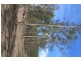 931 Nearum Road, Nearum QLD 4671