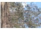 931 Nearum Road, Nearum QLD 4671