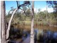 145 Woods Road West, Alloway QLD 4670