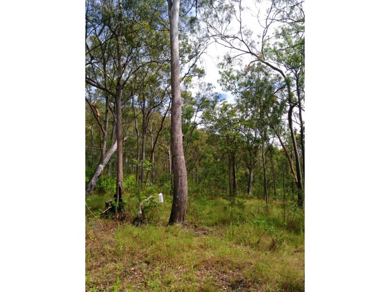 424 Doughboy/Nearum Road, Doughboy QLD 4671