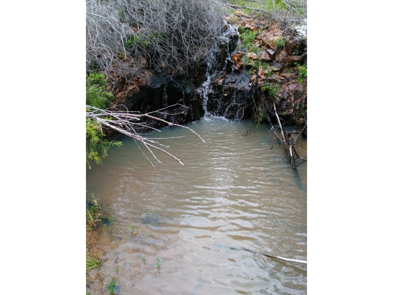 424 Doughboy/Nearum Road, Doughboy QLD 4671