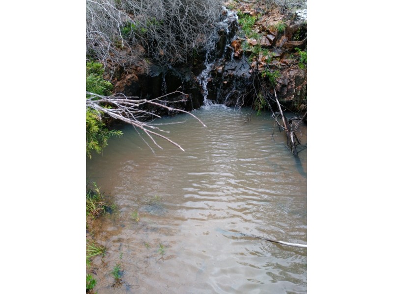 424 Doughboy/Nearum Road, Doughboy QLD 4671