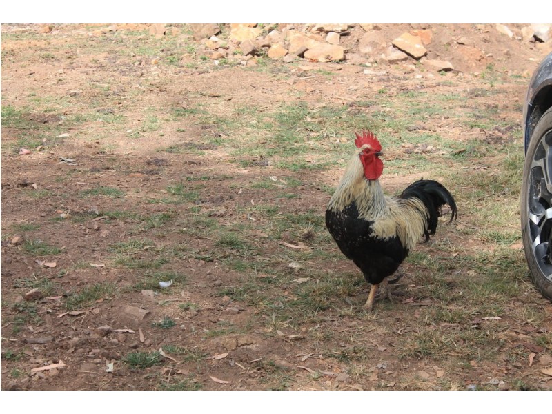 424 Doughboy/Nearum Road, Doughboy QLD 4671