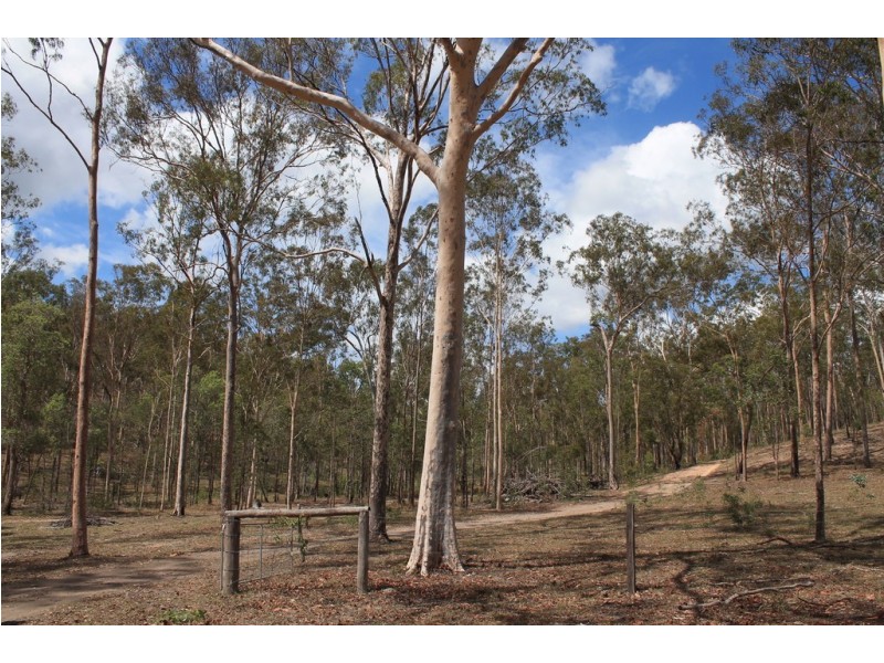 424 Doughboy/Nearum Road, Doughboy QLD 4671