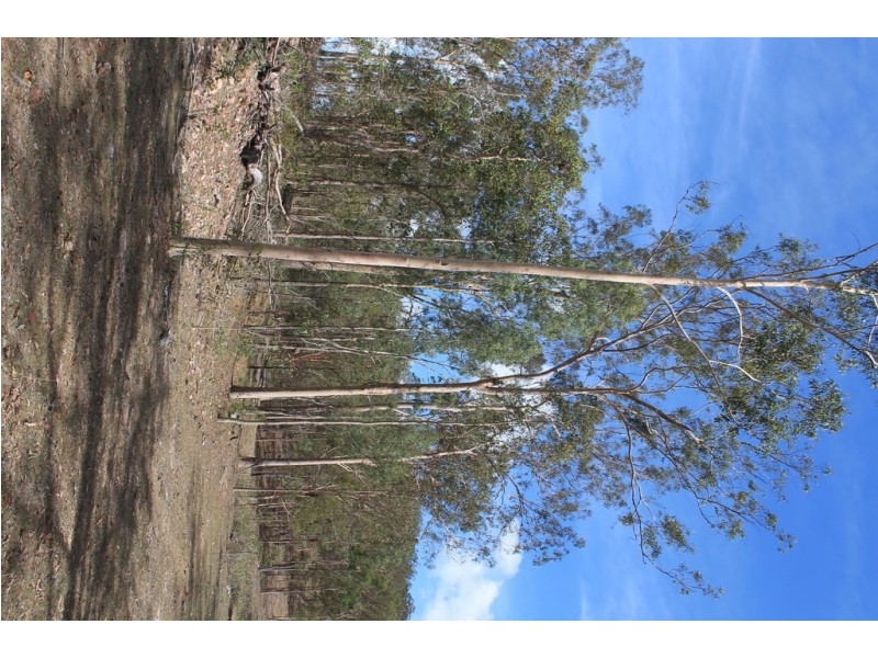 424 Doughboy/Nearum Road, Doughboy QLD 4671