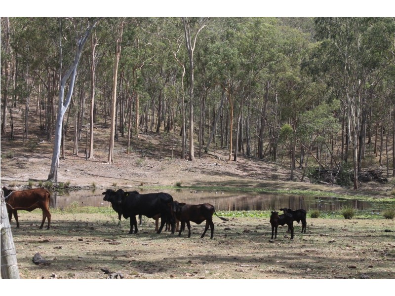 424 Doughboy/Nearum Road, Doughboy QLD 4671