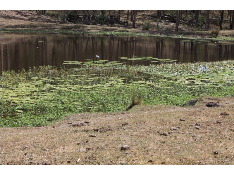 424 Doughboy/Nearum Road, Doughboy QLD 4671