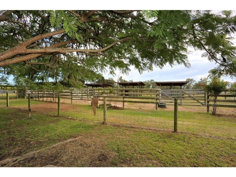 194 Kalbar Rd, South Kolan QLD 4670