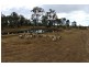 194 Kalbar Rd, South Kolan QLD 4670
