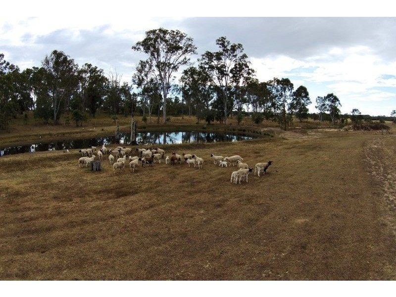 194 Kalbar Rd, South Kolan QLD 4670