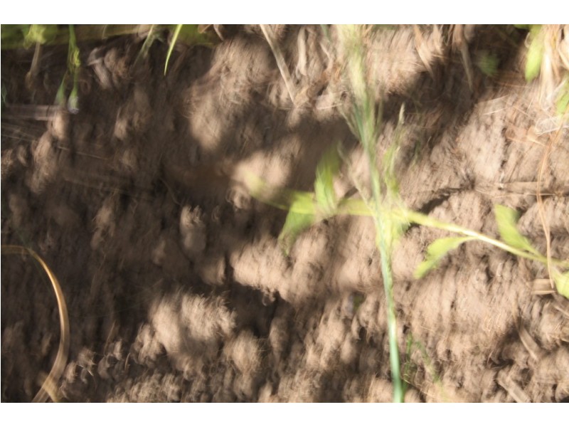 157 Jones Road, Bucca QLD 4670