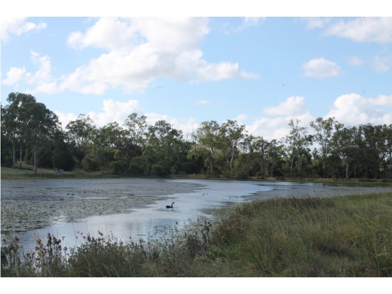 157 Jones Road, Bucca QLD 4670