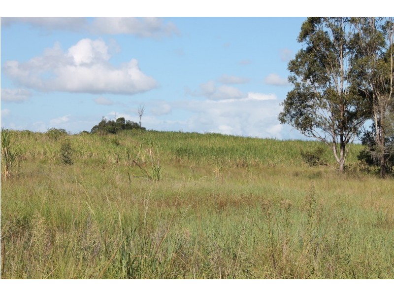 157 Jones Road, Bucca QLD 4670