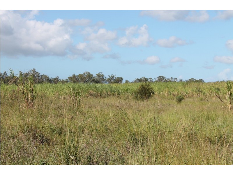 157 Jones Road, Bucca QLD 4670