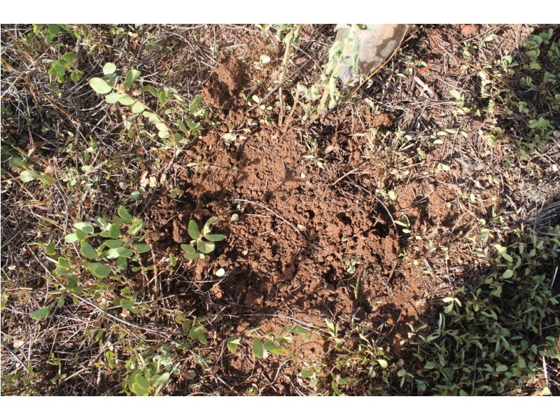 157 Jones Road, Bucca QLD 4670