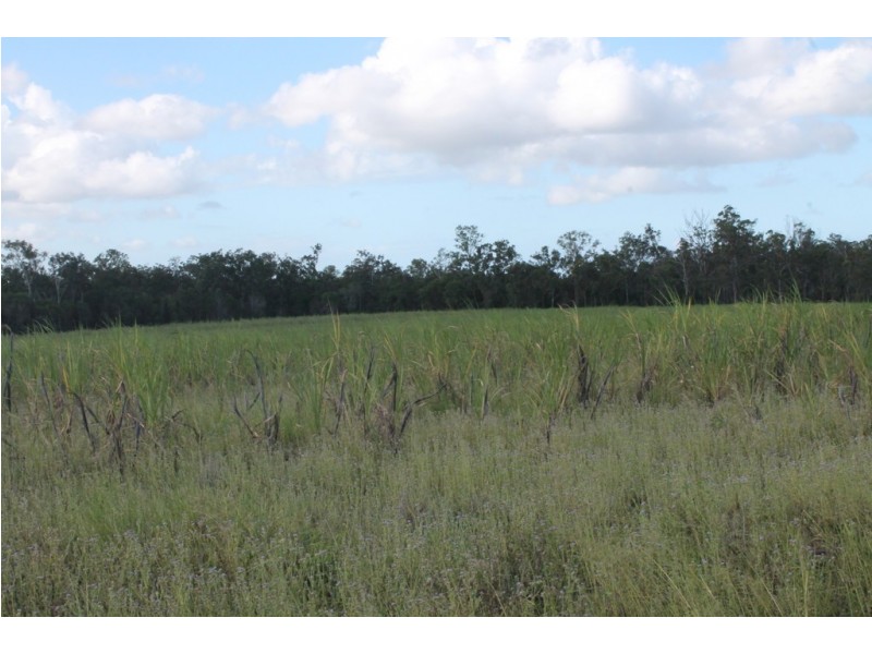 157 Jones Road, Bucca QLD 4670