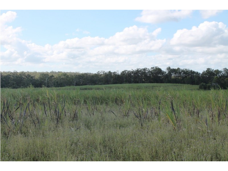 157 Jones Road, Bucca QLD 4670