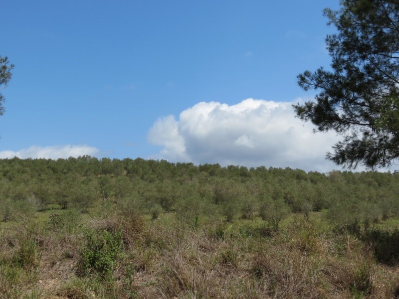 Lot 9 School Lane, Mount Perry QLD 4671