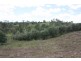 30 Walters Road, New Moonta QLD 4671