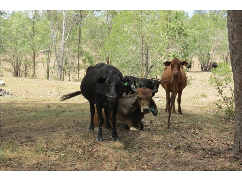 48 Swindon Road, Mount Perry QLD 4671