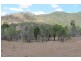 48 Swindon Road, Mount Perry QLD 4671