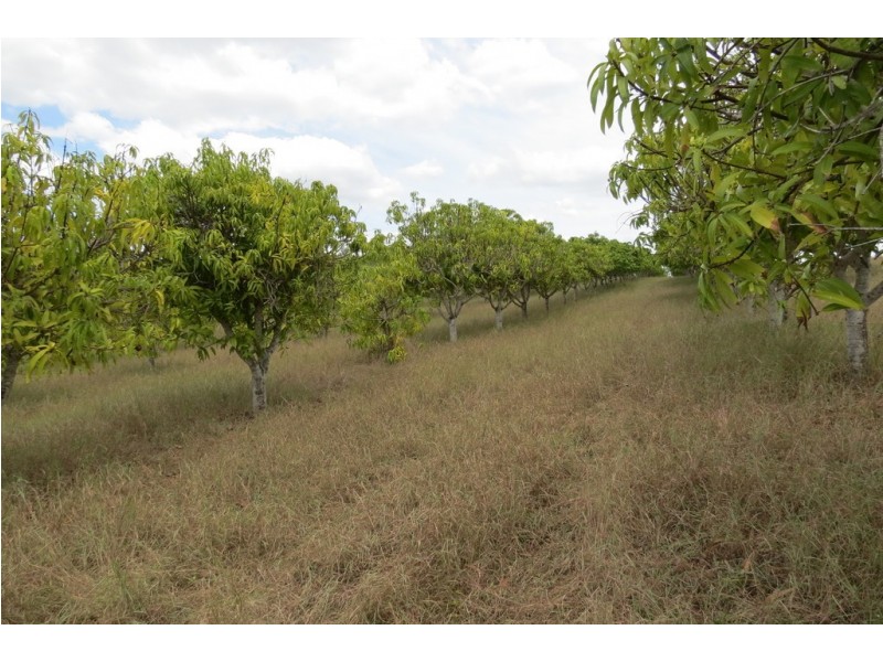870 WALLA ROAD, Morganville QLD 4671