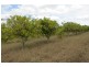 870 WALLA ROAD, Morganville QLD 4671