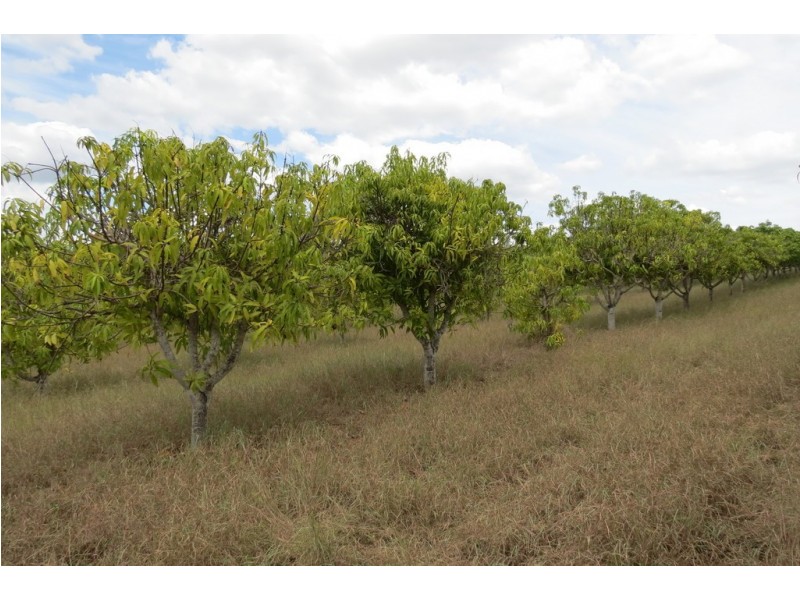 870 WALLA ROAD, Morganville QLD 4671