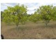 870 WALLA ROAD, Morganville QLD 4671