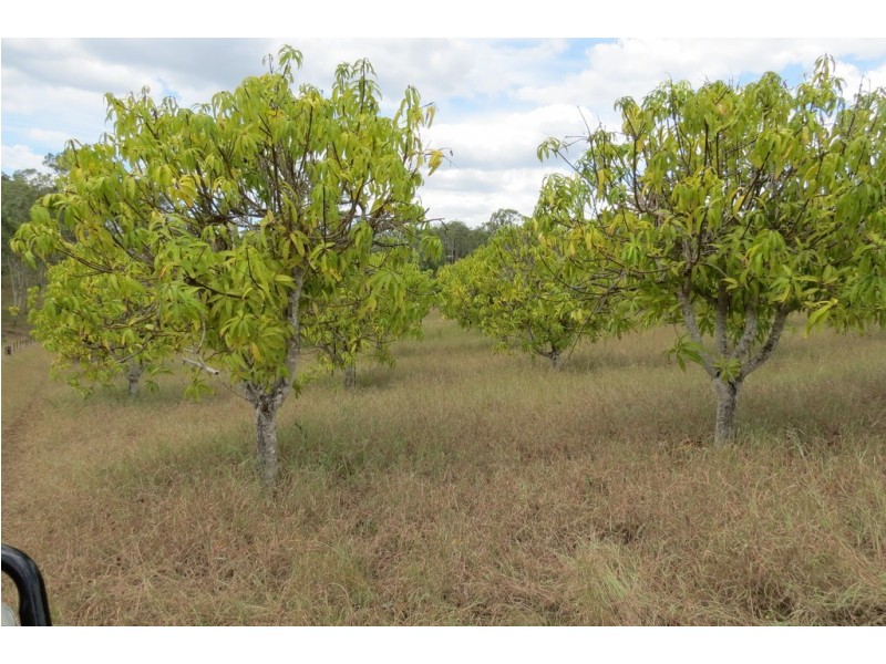 870 WALLA ROAD, Morganville QLD 4671