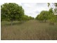 870 WALLA ROAD, Morganville QLD 4671