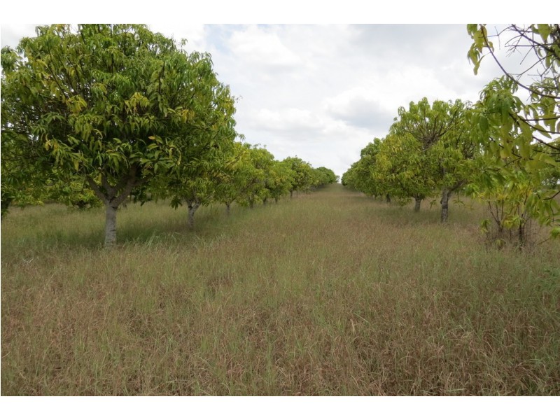 870 WALLA ROAD, Morganville QLD 4671
