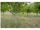 870 WALLA ROAD, Morganville QLD 4671