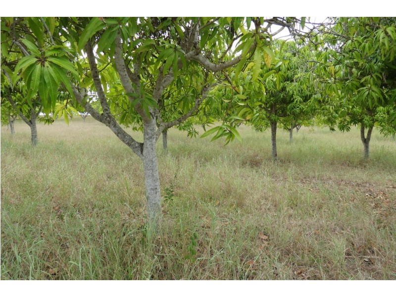 870 WALLA ROAD, Morganville QLD 4671