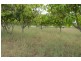 8 MINGO ROAD, Morganville QLD 4671