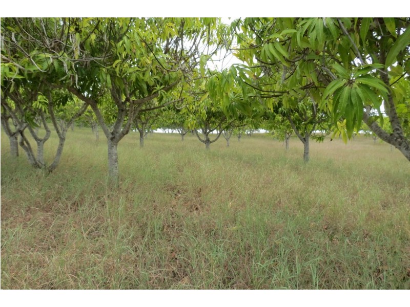 8 MINGO ROAD, Morganville QLD 4671