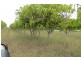 8 MINGO ROAD, Morganville QLD 4671