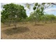 8 MINGO ROAD, Morganville QLD 4671