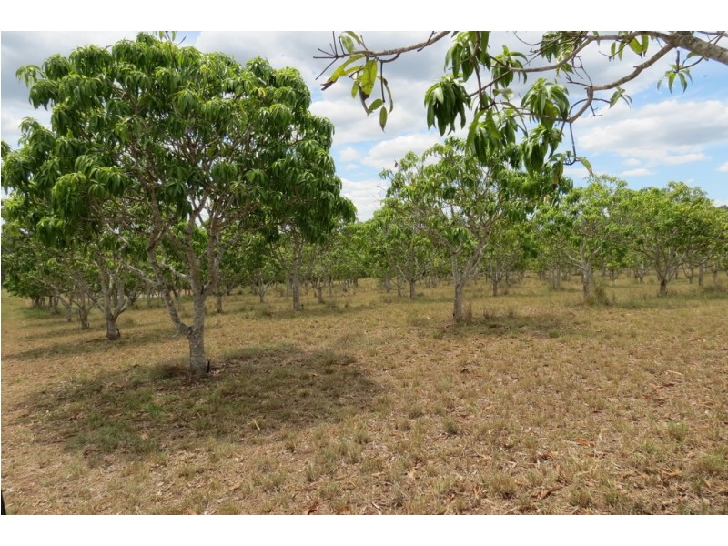 8 MINGO ROAD, Morganville QLD 4671