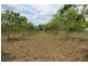 8 MINGO ROAD, Morganville QLD 4671