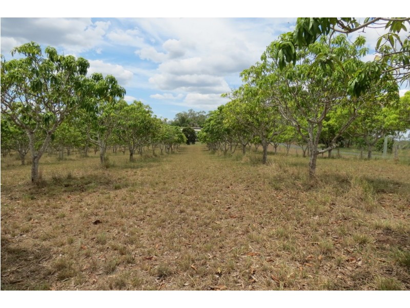 8 MINGO ROAD, Morganville QLD 4671