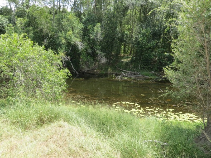 142 PERRY RIVER FARMS RD, Morganville QLD 4671