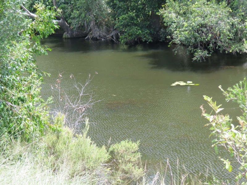 142 PERRY RIVER FARMS RD, Morganville QLD 4671