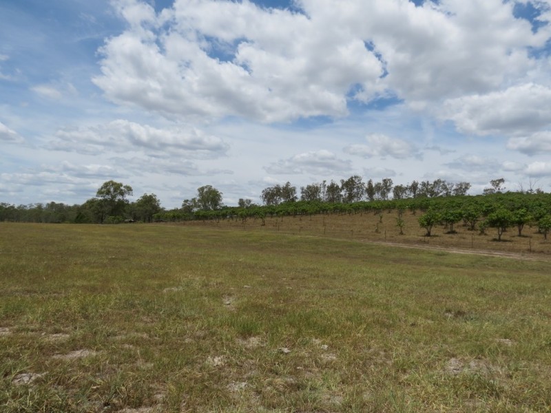142 PERRY RIVER FARMS RD, Morganville QLD 4671