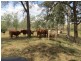 142 PERRY RIVER FARMS RD, Morganville QLD 4671