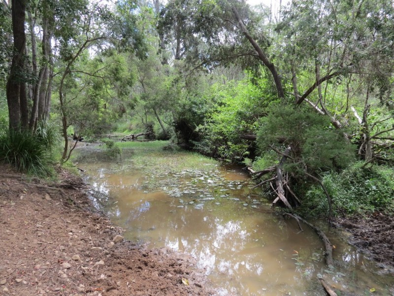 Bucca QLD 4670
