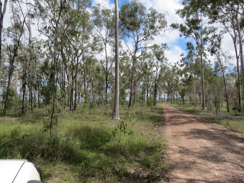 Bucca QLD 4670