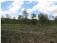 Bucca QLD 4670