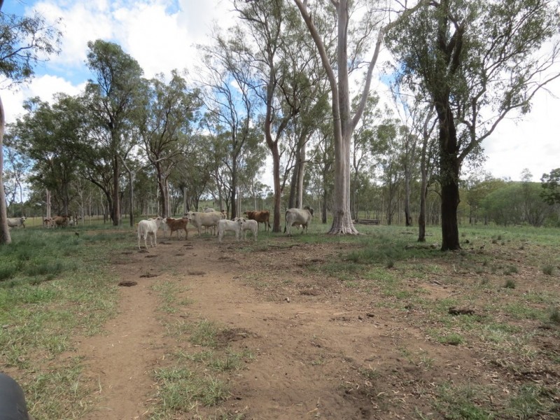 Bucca QLD 4670